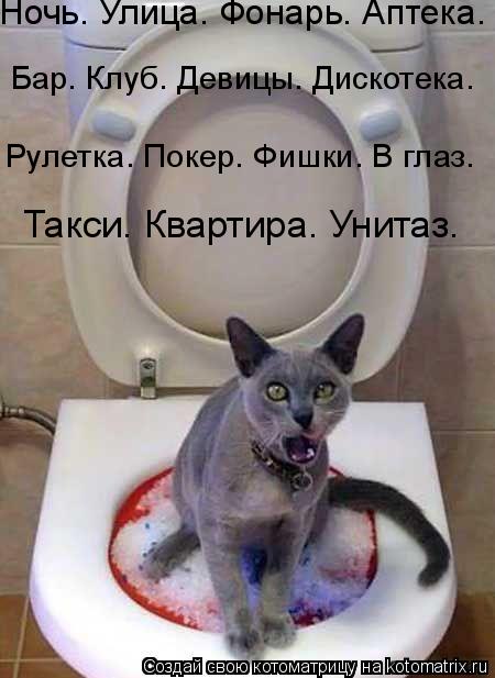 Такси. Квартира. Унитаз. Рулетка. Покер. Фишки. В глаз. Бар. Клуб. Девицы. Дискотека. Ночь. Улица.... Котоматрица: Такси. Квартира. Унитаз. Рулетка. Покер. Фишки. В глаз. Бар. Клуб. Девицы. Дискотека. Ночь. Улица. Фонарь. Аптека.