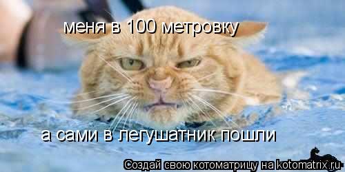 меня в 100 метровку а сами в легушатник пошли... Котоматрица: меня в 100 метровку а сами в легушатник пошли