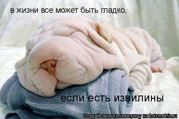 в жизни все может быть гладко, если есть извилины... Котоматрица: в жизни все может быть гладко, если есть извилины