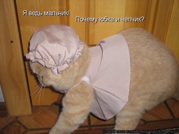 Котоматрица: Я ведь мальчик! Почему юбка и чепчик?