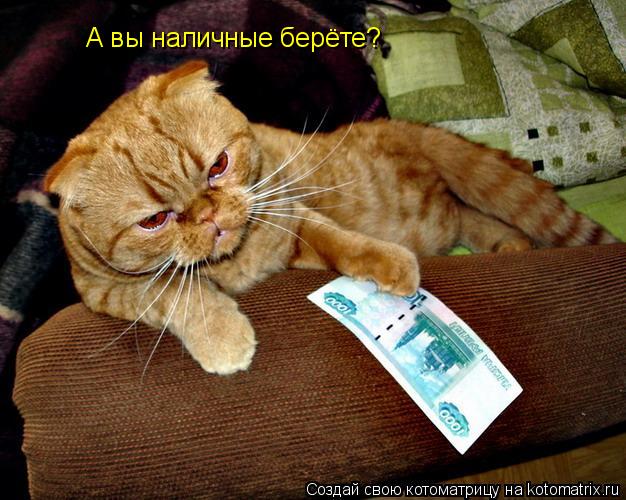 А вы наличные берёте?... Котоматрица: А вы наличные берёте?