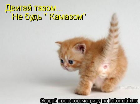 Котоматрица: Двигай тазом... Не будь " Камазом"