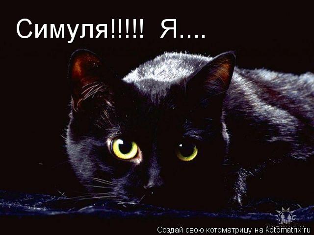 Симуля!!!!! Я....... Котоматрица: Симуля!!!!! Я....