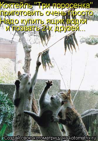 Коктейль "Три поросенка" приготовить очень просто. Hадо купить ящик водки и позвать 2-х друзей...... Котоматрица: Коктейль "Три поросенка" приготовить очень просто. Hадо купить ящик водки и позвать 2-х друзей...