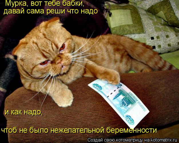 Котоматрица: Мурка, вот тебе бабки, давай сама реши что надо и как надо, чтоб не было нежелательной беременности