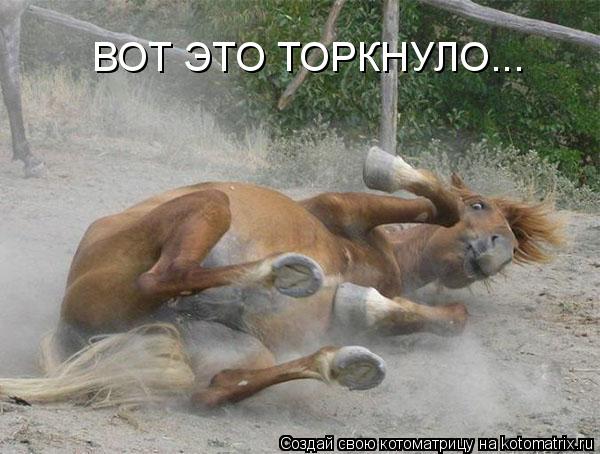 Котоматрица: ВОТ ЭТО ТОРКНУЛО...