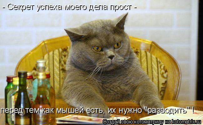 - Секрет успеха моего дела прост - перед тем как мышей есть, их нужно "разводить" !... Котоматрица: - Секрет успеха моего дела прост - перед тем как мышей есть, их нужно "разводить" !