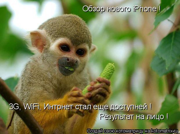 Обзор нового iPhone ! 3G, WiFi, Интрнет стал еще доступней ! Результат на лицо !... Котоматрица: Обзор нового iPhone ! 3G, WiFi, Интрнет стал еще доступней ! Результат на лицо !