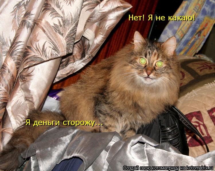Нет! Я не какаю! Я деньги сторожу...... Котоматрица: Нет! Я не какаю! Я деньги сторожу...