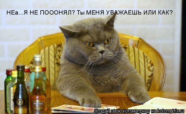 Котоматрица: НЕа...Я НЕ ПОООНЯЛ? Ты МЕНЯ УВАЖАЕШЬ ИЛИ КАК?