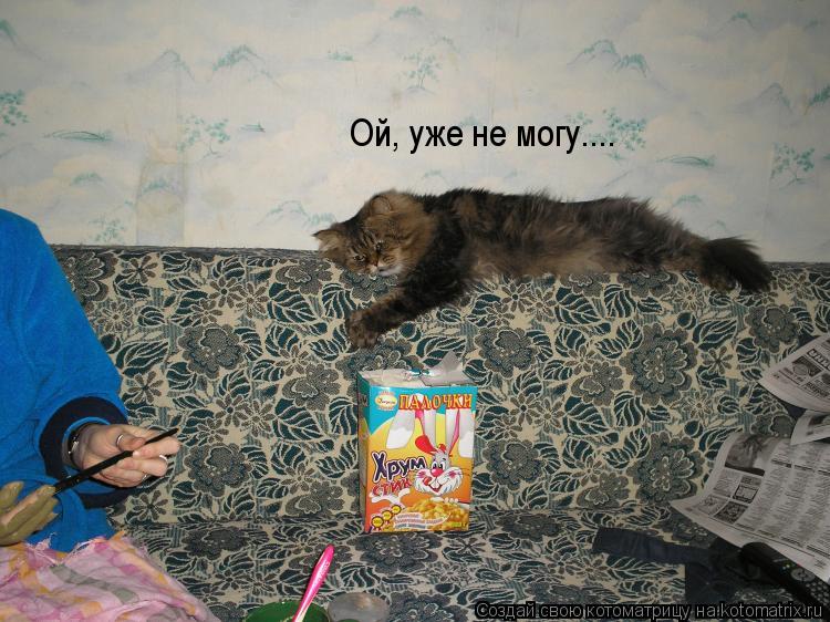 Ой, уже не могу....... Котоматрица: Ой, уже не могу....