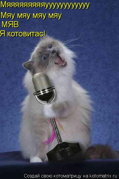 Мяяяяяяяяяуууууууууууу Мяу мяу мяу мяу МЯВ Я котовитас!... Котоматрица: Мяяяяяяяяяуууууууууууу Мяу мяу мяу мяу МЯВ Я котовитас!