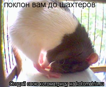 поклон вам до шахтеров... Котоматрица: поклон вам до шахтеров