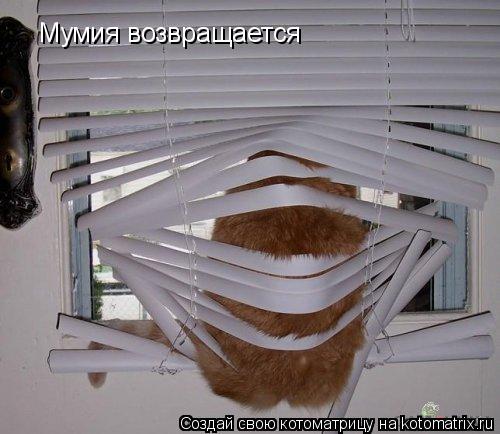 Мумия возвращается... Котоматрица: Мумия возвращается