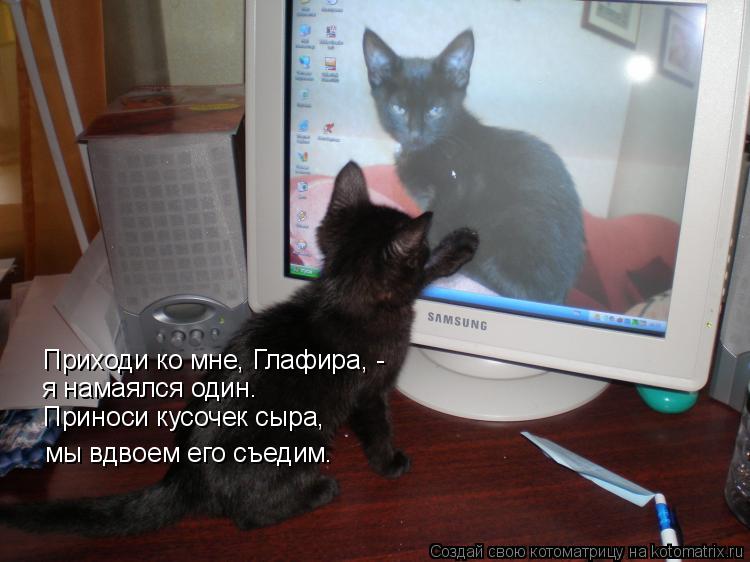 Приходи ко мне, Глафира, - я намаялся один. мы вдвоем его съедим. Приноси кусочек сыра,... Котоматрица: Приходи ко мне, Глафира, - я намаялся один. мы вдвоем его съедим. Приноси кусочек сыра,