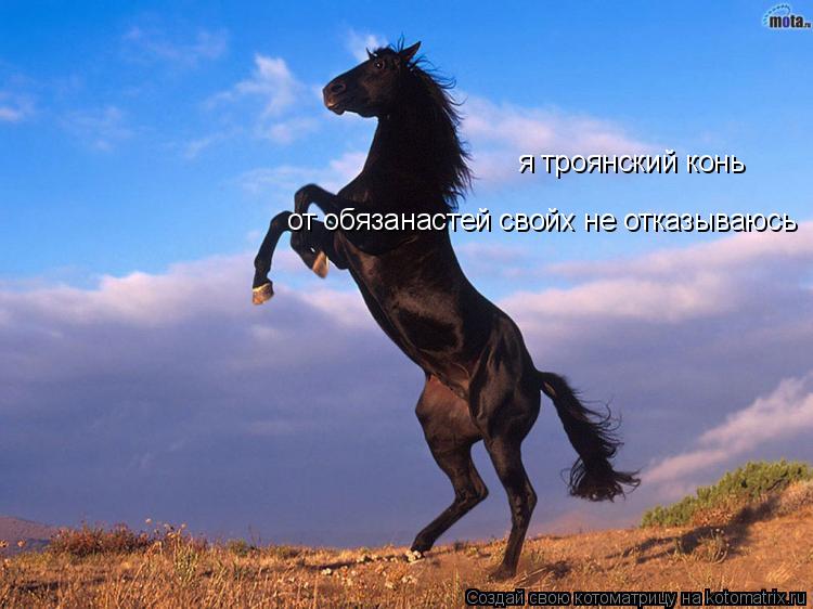я троянский конь от обязанастей свойх не отказываюсь... Котоматрица: я троянский конь от обязанастей свойх не отказываюсь