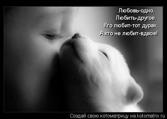Любовь-одно, Любить-другое. Кто любит-тот дурак, А кто не любит-вдвое!... Котоматрица: Любовь-одно, Любить-другое. Кто любит-тот дурак, А кто не любит-вдвое!