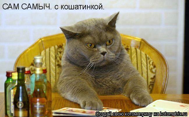 САМ САМЫЧ. с кошатинкой.... Котоматрица: САМ САМЫЧ. с кошатинкой.