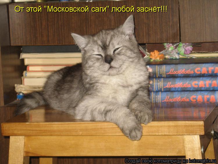 От этой "Московской саги" любой заснёт!!!... Котоматрица: От этой "Московской саги" любой заснёт!!!