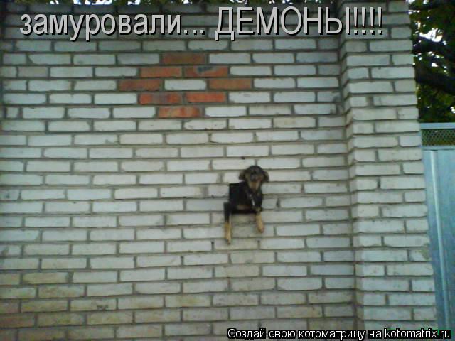 замуровали... ДЕМОНЫ!!!!... Котоматрица: замуровали... ДЕМОНЫ!!!!
