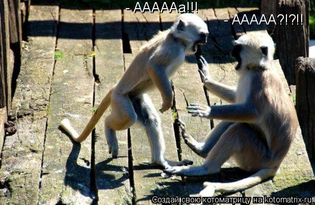 - АААААа!!! - ААААА?!?!!... Котоматрица: - АААААа!!! - ААААА?!?!!