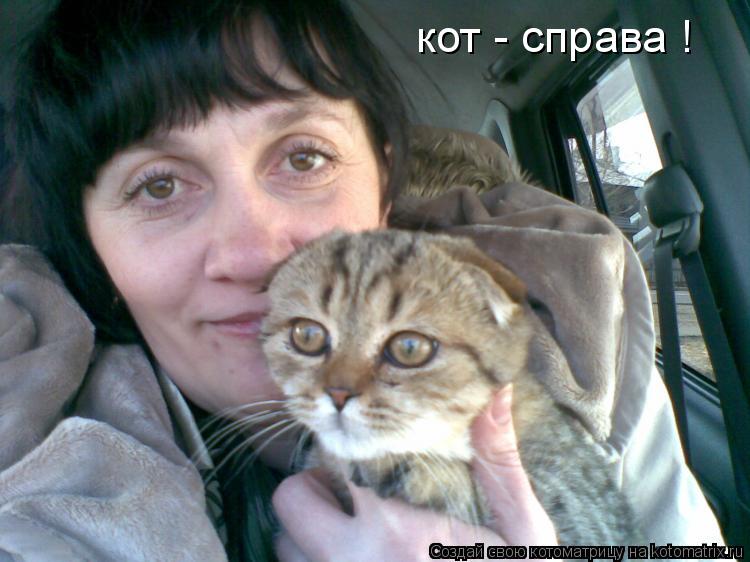 Котоматрица: кот - справа !