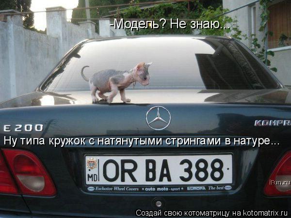 -Модель? Не знаю... Ну типа кружок с натянутыми стрингами в натуре...... Котоматрица: -Модель? Не знаю... Ну типа кружок с натянутыми стрингами в натуре...