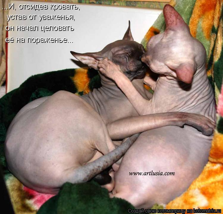 ...И, отсидев кровать, устав от уваженья, он начал целовать её на пораженье...... Котоматрица: ...И, отсидев кровать, устав от уваженья, он начал целовать её на пораженье...