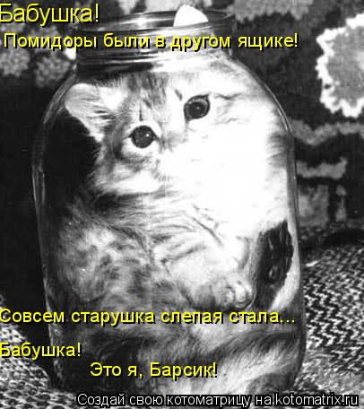Бабушка! Помидоры были в другом ящике! Совсем старушка слепая стала... Бабушка! Это я, Барсик!... Котоматрица: Бабушка! Помидоры были в другом ящике! Совсем старушка слепая стала... Бабушка! Это я, Барсик!