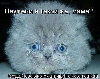 Неужели я такой же, мама?... Котоматрица: Неужели я такой же, мама?