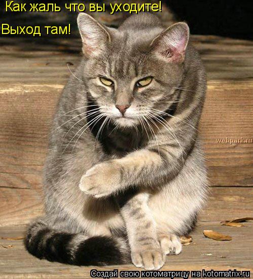 Как жаль что вы уходите Как жаль что вы уходите! Выход там!... Котоматрица: Как жаль что вы уходите Как жаль что вы уходите! Выход там!