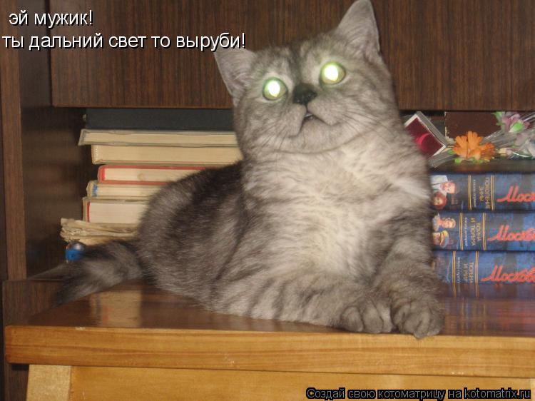 эй мужик! эй мужик! ты дальний свет то выруби!... Котоматрица: эй мужик! эй мужик! ты дальний свет то выруби!