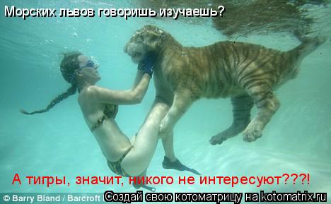 Морских львов говоришь изучаешь? А тигры, значит, никого не интересуют???!... Котоматрица: Морских львов говоришь изучаешь? А тигры, значит, никого не интересуют???!