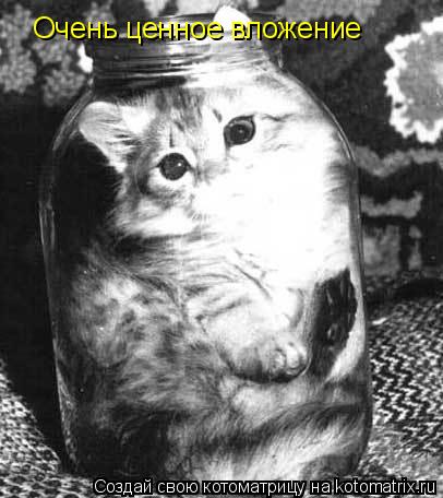 Очень ценное вложение... Котоматрица: Очень ценное вложение