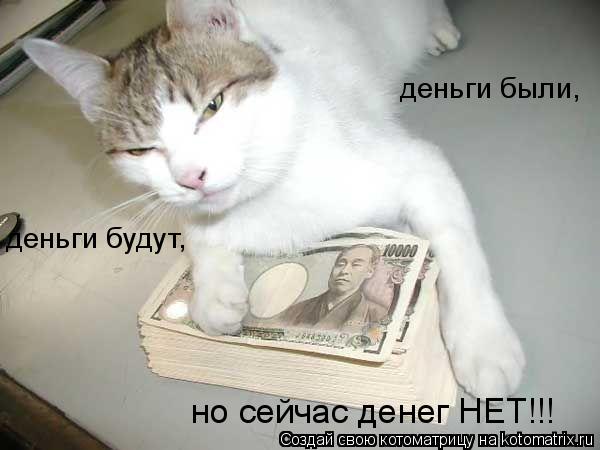 деньги были, деньги будут, но сейчас денег НЕТ!!!... Котоматрица: деньги были, деньги будут, но сейчас денег НЕТ!!!