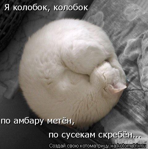 Котоматрица: Я колобок, колобок  по амбару метён,  по сусекам скребён...
