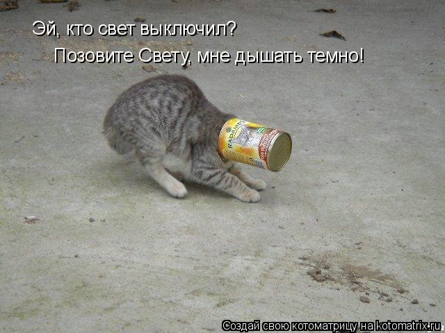 Эй, кто свет выключил? Позовите Свету, мне дышать темно!... Котоматрица: Эй, кто свет выключил? Позовите Свету, мне дышать темно!