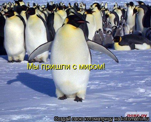 Мы пришли с миром!... Котоматрица: Мы пришли с миром!