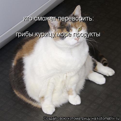 кто сможет переворить: грибы,курицу,море продукты... Котоматрица: кто сможет переворить: грибы,курицу,море продукты