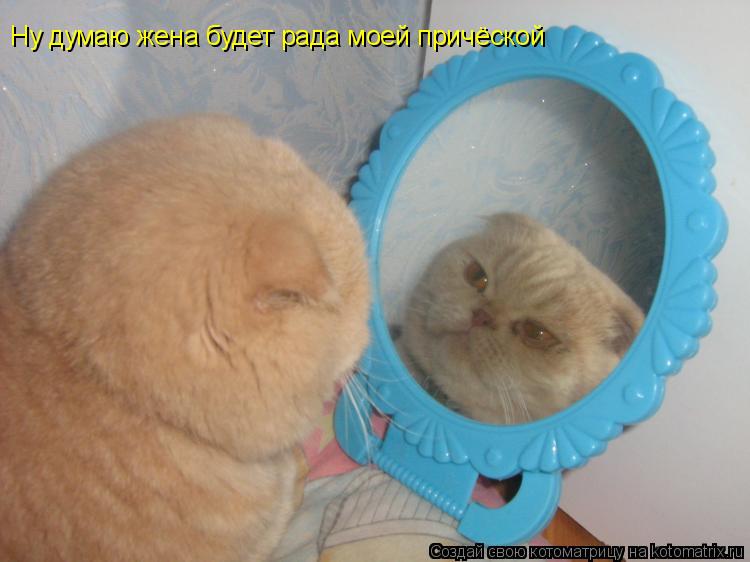 Котоматрица: Ну думаю жена будет рада моей причёской