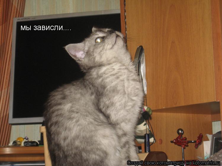 мы зависли....... Котоматрица: мы зависли....