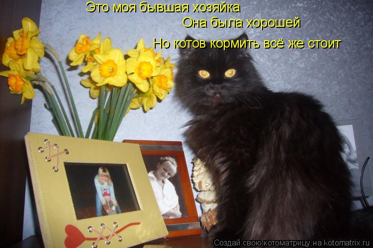 Это моя бывшая хозяйка Она была хорошей Но котов кормить всё же стоит... Котоматрица: Это моя бывшая хозяйка Она была хорошей Но котов кормить всё же стоит