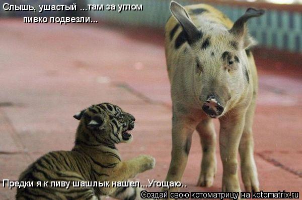 Котоматрица: Слышь, ушастый ... там за углом  пивко подвезли... Предки я к пиву шашлык нашел...Угощаю..