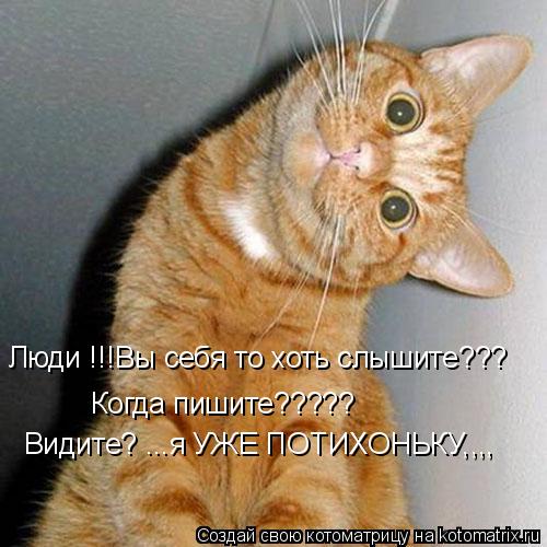 Котоматрица: Люди !!!Вы себя то хоть слышите??? Когда пишите????? Видите? ...я УЖЕ ПОТИХОНЬКУ,,,,