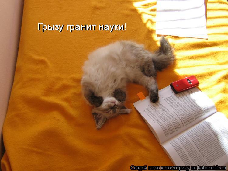 Грызу гранит науки!... Котоматрица: Грызу гранит науки!
