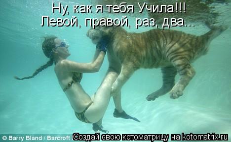Ну, как я тебя Учила!!! Левой, правой, раз, два...... Котоматрица: Ну, как я тебя Учила!!! Левой, правой, раз, два...