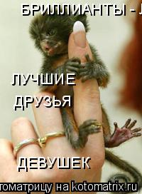 Котоматрица: БРИЛЛИАНТЫ - ЛУЧШИЕ ЛУЧШИЕ ДРУЗЬЯ ДЕВУШЕК
