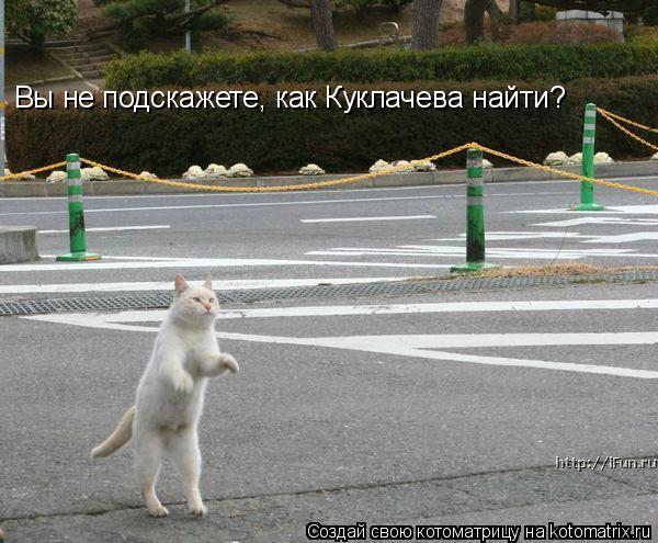 Вы не подскажете, как Куклачева найти?... Котоматрица: Вы не подскажете, как Куклачева найти?