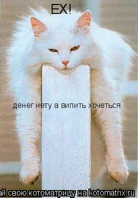ЕХ! денег нету а випить хочеться... Котоматрица: ЕХ! денег нету а випить хочеться
