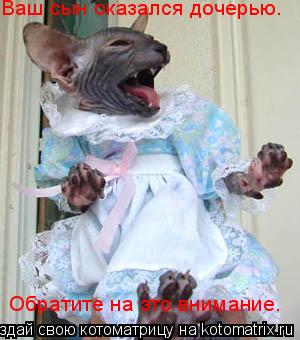 Ваш сын оказался дочерью. Обратите на это внимание.... Котоматрица: Ваш сын оказался дочерью. Обратите на это внимание.